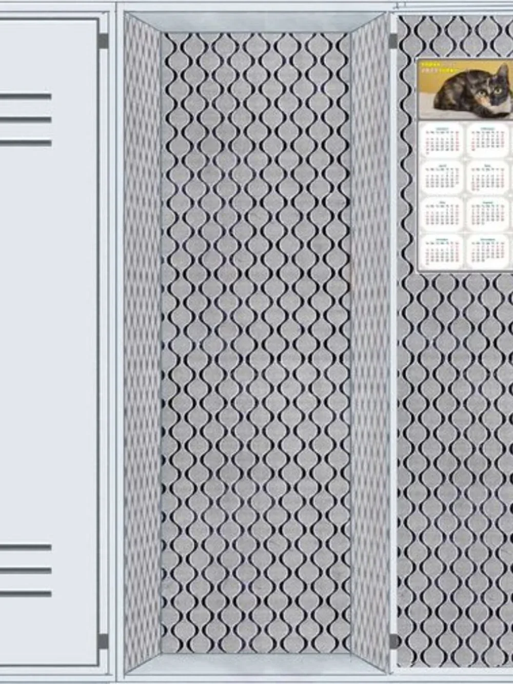 2027 Magnetic Calendar - Today is my Lucky Day - Cat Themed 024 (7 x 10.5)